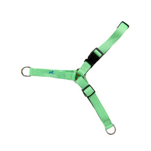 Load image into Gallery viewer, TilneyTrotters No-Pull Dog Harness