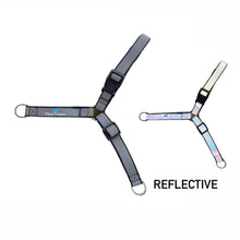 Load image into Gallery viewer, TilneyTrotters No-Pull Dog Harness