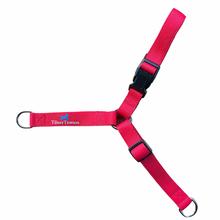 Load image into Gallery viewer, TilneyTrotters No-Pull Dog Harness