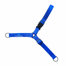 Load image into Gallery viewer, TilneyTrotters No-Pull Dog Harness