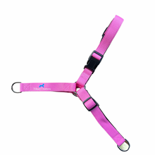 Load image into Gallery viewer, TilneyTrotters No-Pull Dog Harness