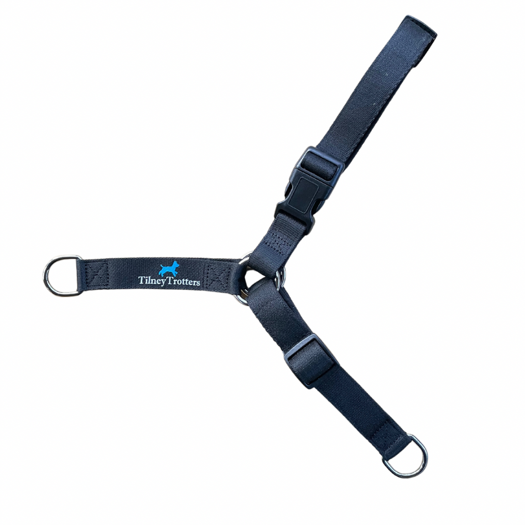 TilneyTrotters No-Pull Dog Harness